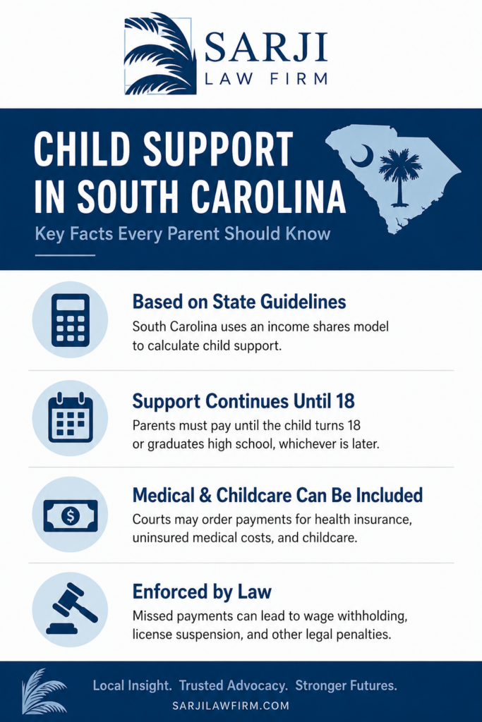 Charleston Child Support Infographic