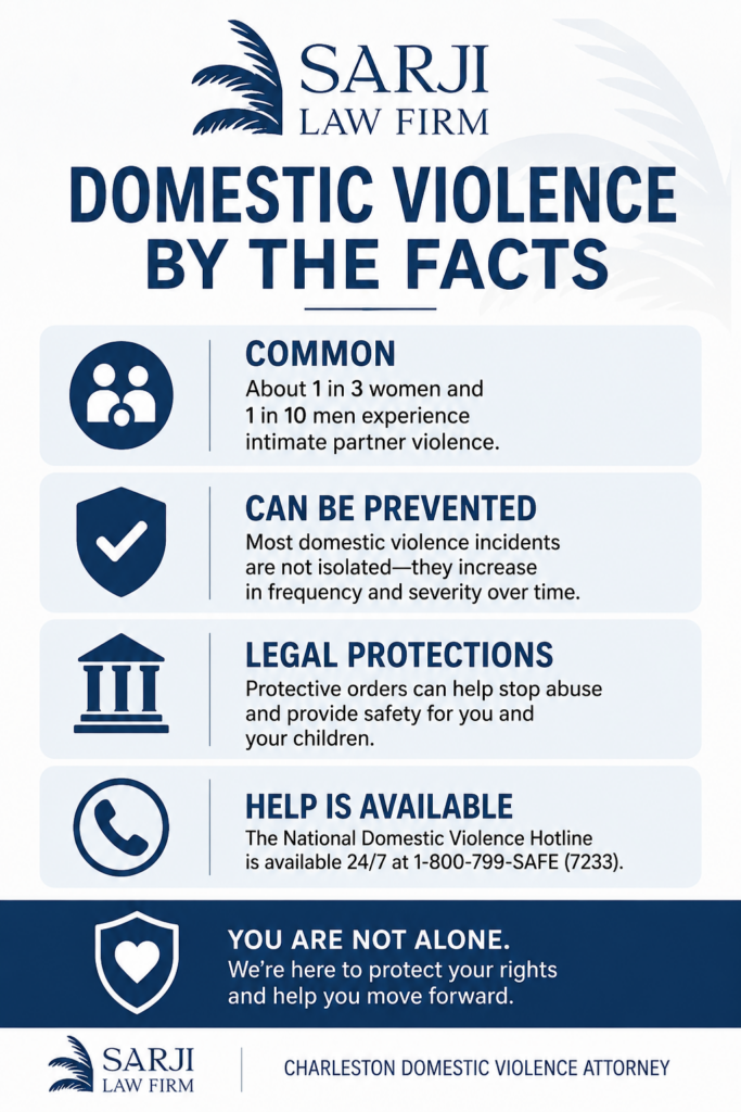 Charleston Domestic Violence Infographic
