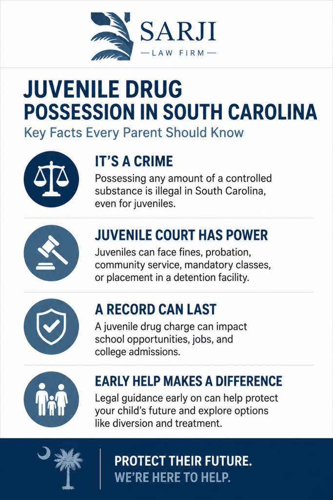 Charleston Juvenile Drug Possession Infographic